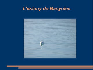 L'estany de Banyoles 