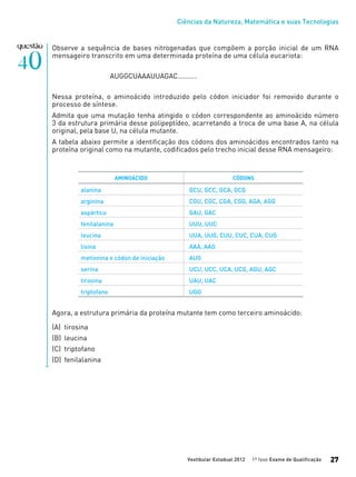 Ciências da Natureza, Matemática e suas Tecnologias
Vestibular Estadual 2012 1ª fase Exame de Qualificação 27
Observe a sequência de bases nitrogenadas que compõem a porção inicial de um RNA
mensageiro transcrito em uma determinada proteína de uma célula eucariota:
AUGGCUAAAUUAGAC..........
Nessa proteína, o aminoácido introduzido pelo códon iniciador foi removido durante o
processo de síntese.
Admita que uma mutação tenha atingido o códon correspondente ao aminoácido número
3 da estrutura primária desse polipeptídeo, acarretando a troca de uma base A, na célula
original, pela base U, na célula mutante.
A tabela abaixo permite a identificação dos códons dos aminoácidos encontrados tanto na
proteína original como na mutante, codificados pelo trecho inicial desse RNA mensageiro:
		
Agora, a estrutura primária da proteína mutante tem como terceiro aminoácido:
(A)	 tirosina
(B)	 leucina
(C)	 triptofano
(D)	 fenilalanina
AMINOÁCIDO CÓDONS
alanina GCU, GCC, GCA, GCG
arginina CGU, CGC, CGA, CGG, AGA, AGG
aspártico GAU, GAC
fenilalanina UUU, UUC
leucina UUA, UUG, CUU, CUC, CUA, CUG
lisina AAA, AAG
metionina e códon de iniciação AUG
serina UCU, UCC, UCA, UCG, AGU, AGC
tirosina UAU, UAC
triptofano UGG
 