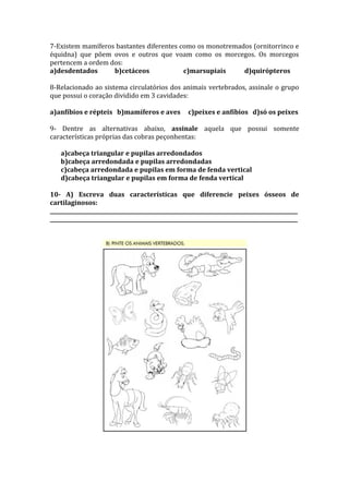 7-Existem mamíferos bastantes diferentes como os monotremados (ornitorrinco e
équidna) que põem ovos e outros que voam como os morcegos. Os morcegos
pertencem a ordem dos:
a)desdentados      b)cetáceos             c)marsupiais     d)quirópteros

8-Relacionado ao sistema circulatórios dos animais vertebrados, assinale o grupo
que possui o coração dividido em 3 cavidades:

a)anfíbios e répteis b)mamíferos e aves             c)peixes e anfíbios d)só os peixes

9- Dentre as alternativas abaixo, assinale aquela que possui somente
características próprias das cobras peçonhentas:

    a)cabeça triangular e pupilas arredondados
    b)cabeça arredondada e pupilas arredondadas
    c)cabeça arredondada e pupilas em forma de fenda vertical
    d)cabeça triangular e pupilas em forma de fenda vertical

10- A) Escreva duas características que diferencie peixes ósseos de
cartilaginosos:
_______________________________________________________________________________________________
_______________________________________________________________________________________________
 