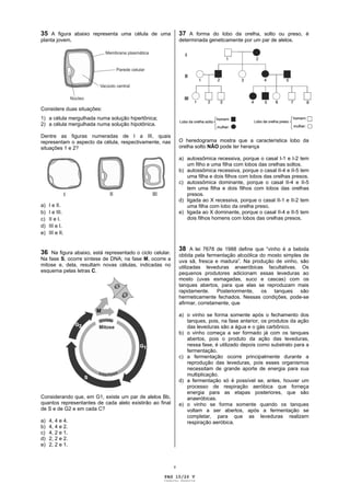 35 A figura abaixo representa uma célula de uma               37 A forma do lobo da orelha, solto ou preso, é
planta jovem.                                                 determinada geneticamente por um par de alelos.




Considere duas situações:
1) a célula mergulhada numa solução hipertônica;
2) a célula mergulhada numa solução hipotônica.

Dentre as figuras numeradas de I a III, quais
representam o aspecto da célula, respectivamente, nas         O heredograma mostra que a característica lobo da
situações 1 e 2?                                              orelha solto NÃO pode ter herança

                                                              a) autossômica recessiva, porque o casal I-1 e I-2 tem
                                                                 um filho e uma filha com lobos das orelhas soltos.
                                                              b) autossômica recessiva, porque o casal II-4 e II-5 tem
                                                                 uma filha e dois filhos com lobos das orelhas presos.
                                                              c) autossômica dominante, porque o casal II-4 e II-5
                                                                 tem uma filha e dois filhos com lobos das orelhas
                                                                 presos.
                                                              d) ligada ao X recessiva, porque o casal II-1 e II-2 tem
a)   I e II.                                                     uma filha com lobo da orelha preso.
b)   I e III.                                                 e) ligada ao X dominante, porque o casal II-4 e II-5 tem
c)   II e I.                                                     dois filhos homens com lobos das orelhas presos.
d)   III e I.
e)   III e II.


                                                              38 A lei 7678 de 1988 define que “vinho é a bebida
36 Na figura abaixo, está representado o ciclo celular.       obtida pela fermentação alcoólica do mosto simples de
Na fase S, ocorre síntese de DNA; na fase M, ocorre a         uva sã, fresca e madura”. Na produção de vinho, são
mitose e, dela, resultam novas células, indicadas no          utilizadas leveduras anaeróbicas facultativas. Os
esquema pelas letras C.                                       pequenos produtores adicionam essas leveduras ao
                                                              mosto (uvas esmagadas, suco e cascas) com os
                                                              tanques abertos, para que elas se reproduzam mais
                                                              rapidamente. Posteriormente, os tanques são
                                                              hermeticamente fechados. Nessas condições, pode-se
                                                              afirmar, corretamente, que

                                                              a) o vinho se forma somente após o fechamento dos
                                                                 tanques, pois, na fase anterior, os produtos da ação
                                                                 das leveduras são a água e o gás carbônico.
                                                              b) o vinho começa a ser formado já com os tanques
                                                                 abertos, pois o produto da ação das leveduras,
                                                                 nessa fase, é utilizado depois como substrato para a
                                                                 fermentação.
                                                              c) a fermentação ocorre principalmente durante a
                                                                 reprodução das leveduras, pois esses organismos
                                                                 necessitam de grande aporte de energia para sua
                                                                 multiplicação.
                                                              d) a fermentação só é possível se, antes, houver um
                                                                 processo de respiração aeróbica que forneça
                                                                 energia para as etapas posteriores, que são
Considerando que, em G1, existe um par de alelos Bb,             anaeróbicas.
quantos representantes de cada alelo existirão ao final       e) o vinho se forma somente quando os tanques
de S e de G2 e em cada C?                                        voltam a ser abertos, após a fermentação se
                                                                 completar, para que as leveduras realizem
a)   4, 4 e 4.                                                   respiração aeróbica.
b)   4, 4 e 2.
c)   4, 2 e 1.
d)   2, 2 e 2.
e)   2, 2 e 1.



                                                          v

                                                    PAG 10/26 V
                                                    Caderno Reserva
 
