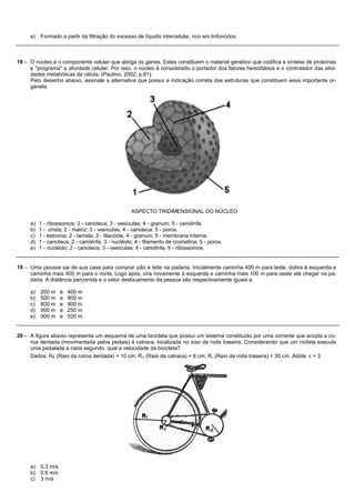 e)   Formado a partir da filtração do excesso de líquido intercelular, rico em linfonódos.



18 – O núcleo é o componente celular que abriga os genes. Estes constituem o material genético que codifica a síntese de proteínas
     e "programa" a atividade celular. Por isso, o núcleo é considerado o portador dos fatores hereditários e o controlador das ativi-
     dades metabólicas da célula. (Paulino, 2002, p.81).
     Pelo desenho abaixo, assinale a alternativa que possui a indicação correta das estruturas que constituem essa importante or-
     ganela.




                                                   ASPECTO TRIDIMENSIONAL DO NÚCLEO

     a)   1 - ribossomos; 2 - carioteca; 3 - vesículas; 4 - granum; 5 - cariolinfa.
     b)   1 - crista; 2 - matriz; 3 - vesículas; 4 - carioteca; 5 - poros.
     c)   1 - estroma; 2 - lamela; 3 - tilacóide; 4 - granum; 5 - membrana interna.
     d)   1 - carioteca; 2 - cariolinfa; 3 - nucléolo; 4 - filamento de cromatina; 5 - poros.
     e)   1 - nucléolo; 2 - carioteca; 3 - vesículas; 4 - cariolinfa; 5 - ribossomos.


19 – Uma pessoa sai de sua casa para comprar pão e leite na padaria. Inicialmente caminha 400 m para leste, dobra à esquerda e
     caminha mais 400 m para o norte. Logo após, vira novamente à esquerda e caminha mais 100 m para oeste até chegar na pa-
     daria. A distância percorrida e o vetor deslocamento da pessoa são respectivamente iguais a:

     a)   200 m    e   400 m
     b)   500 m    e   900 m
     c)   800 m    e   900 m
     d)   900 m    e   250 m
     e)   900 m    e   500 m


20 – A figura abaixo representa um esquema de uma bicicleta que possui um sistema constituído por uma corrente que acopla a co-
     roa dentada (movimentada pelos pedais) à catraca, localizada no eixo da roda traseira. Considerando que um ciclista execute
     uma pedalada a cada segundo, qual a velocidade da bicicleta?
     Dados: Rd (Raio da coroa dentada) = 10 cm; R c (Raio da catraca) = 6 cm; R r (Raio da roda traseira) = 30 cm. Adote p = 3.




     a) 0,3 m/s
     b) 0,6 m/s
     c) 3 m/s
 