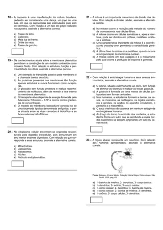 18 – A capoeira é uma manifestação da cultura brasileira,         21 – A mitose é um importante mecanismo de divisão das cé-
     podendo ser considerada uma dança, um jogo ou uma                 lulas. Com relação à divisão celular, assinale a alternati-
     luta, em que os capoeiristas são estimulados pelo som             va correta.
     do berimbau. Com relação a um tipo de golpe realizado
     na capoeira, assinale a alternativa correta.                      a) Na mitose ocorre a redução pela metade do número
                                                                          de cromossomos nas células-filhas.
     a)   Passe de letra.                                              b) A mitose ocorre em células somáticas e, após a inter-
     b)   Cabeceio.                                                       fase, pode ser dividida em prófase, metáfase, anáfa-
     c)   Meia lua de frente.                                             se e telófase.
     d)   Drible da vaca.                                              c) Uma característica importante da mitose é a ocorrên-
     e)   Passe de gancho.                                                cia do crossing-over, permitindo a variabilidade gené-
                                                                          tica.
                                                                       d) A última fase da mitose é a metáfase, quando ocorre
                                                                          a reorganização da membrana nuclear.
                                                                       e) A mitose ocorre em dois estágios e é o mecanismo
19 – Os conhecimentos atuais sobre a membrana plasmática                  pelo qual ocorre a produção de esporos e gametas.
     permitiram a construção de um modelo conhecido como
     mosaico fluido. Com relação à estrutura, função e per-
     meabilidade da célula, assinale a alternativa correta.

     a) Um exemplo de transporte passivo pela membrana é
        a chamada bomba de sódio.                                 22 – Com relação à embriologia humana e seus anexos em-
     b) As proteínas presentes nas membranas têm função                brionários, assinale a alternativa correta.
        apenas estrutural e nunca funcionam como recepto-
        ras.                                                           a) O âmnio, situado externamente ao cório, tem função
     c) O glicocálix tem função protetora e realiza reconhe-              de eliminar as excretas e realizar as trocas gasosas.
        cimento de moléculas, além de revestir a face interna          b) A gástrula é formada por uma massa de células jus-
        da membrana plasmática.                                           tapostas sem formar cavidades.
     d) O transporte ativo depende de energia fornecida pela           c) Nos humanos, a ectoderme formará a derme, os os-
        Adenosina Trifosfato – ATP e ocorre contra gradien-               sos, os músculos, as cartilagens, os órgãos excreto-
        tes de concentração.                                              res e genitais, os órgãos do aparelho circulatório, o
     e) O modelo de membrana lipossolúvel constitui-se de                 peritônio e o mesentério.
        uma bicamada lipídica denominada anfipática; a par-            d) O saco vitelínico não aparece em nenhum estágio da
        te situada entre as duas camadas é hidrofílica e as               embriogênese humana.
        faces externas hidrofóbicas.                                   e) Ao longo do dorso do embrião dos cordados, a ecto-
                                                                          derme forma um sulco que se aprofunda e cujos bor-
                                                                          dos superiores se soldam, originando um tubo ou ca-
                                                                          nal neural.


20 – No citoplasma celular encontram-se organelas respon-
     sáveis pela digestão intracelular, pois armazenam em
     seu interior enzimas digestivas. Com relação ao que cor-
     responde a essa estrutura, assinale a alternativa correta.   23 – A figura abaixo representa um neurônio. Com relação
                                                                       aos números apresentados, assinale a alternativa
     a)   Mitocôndrias.                                                correta.
     b)   Lisossomos.
     c)   Ribossomos.
     d)   Núcleo.
     e)   Retículo endoplasmático.




                                                                       Fonte: Biologia - Ensino Médio. Coleção Vitória Régia. Editora Lago, São
                                                                              Paulo, 2005, pag.102

                                                                       a)   1- bainha de mielina; 2- dendritos; 3- corpo celular.
                                                                       b)   1- dendritos; 2- axônio; 3- corpo celular.
                                                                       c)   1- corpo celular; 2- dendritos; 3- bainha de mielina.
                                                                       d)   1- corpo celular; 2- bainha de mielina; 3- dendritos.
                                                                       e)   1- axônio; 2- corpo celular; 3- dendritos.
 