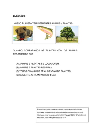 QUESTÃO 6


NOSSO PLANETA TEM DIFERENTES ANIMAIS e PLANTAS:




QUANDO COMPARAMOS AS PLANTAS COM OS ANIMAIS,
PERCEBEMOS QUE



  (A) ANIMAIS E PLANTAS SE LOCOMOVEM.
  (B) ANIMAIS E PLANTAS RESPIRAM.
  (C) TODOS OS ANIMAIS SE ALIMENTAM DE PLANTAS.
  (D) SOMENTE AS PLANTAS RESPIRAM.




                   Fontes das figuras: www.bicodocorvo.com.br/wp-content/uploads
                   http://www.fotosearch.com.br/fotos-imagens/animais-marinhos.html
                   http://www.minerva.uevora.pt/itic/ei00_01/tgrupo/15644/NO%20AR.html
                   http://www.unerj.br/blogbiblioteca/?p=2114
 