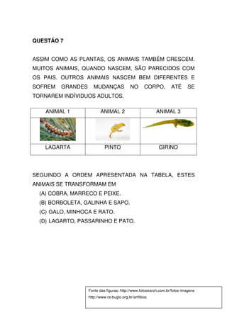 QUESTÃO 7


ASSIM COMO AS PLANTAS, OS ANIMAIS TAMBÉM CRESCEM.
MUITOS ANIMAIS, QUANDO NASCEM, SÃO PARECIDOS COM
OS PAIS. OUTROS ANIMAIS NASCEM BEM DIFERENTES E
SOFREM   GRANDES      MUDANÇAS              NO      CORPO,        ATÉ       SE
TORNAREM INDÍVIDUOS ADULTOS.

    ANIMAL 1              ANIMAL 2                       ANIMAL 3




   LAGARTA                  PINTO                          GIRINO




SEGUINDO A ORDEM APRESENTADA NA TABELA, ESTES
ANIMAIS SE TRANSFORMAM EM
  (A) COBRA, MARRECO E PEIXE.
  (B) BORBOLETA, GALINHA E SAPO.
  (C) GALO, MINHOCA E RATO.
  (D) LAGARTO, PASSARINHO E PATO.




                   Fonte das figuras: http://www.fotosearch.com.br/fotos-imagens
                   http://www.ra-bugio.org.br/anfibios
 