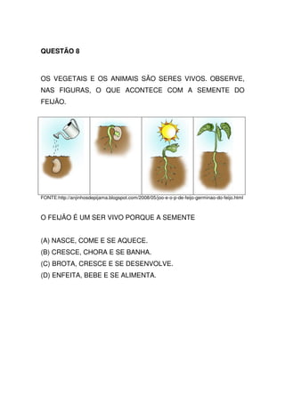 QUESTÃO 8



OS VEGETAIS E OS ANIMAIS SÃO SERES VIVOS. OBSERVE,
NAS FIGURAS, O QUE ACONTECE COM A SEMENTE DO
FEIJÃO.




FONTE:http://anjinhosdepijama.blogspot.com/2008/05/joo-e-o-p-de-feijo-germinao-do-feijo.html



O FEIJÃO É UM SER VIVO PORQUE A SEMENTE


(A) NASCE, COME E SE AQUECE.
(B) CRESCE, CHORA E SE BANHA.
(C) BROTA, CRESCE E SE DESENVOLVE.
(D) ENFEITA, BEBE E SE ALIMENTA.
 
