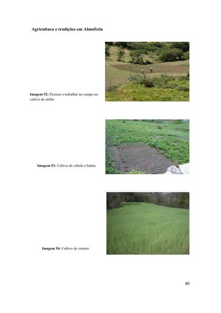 80
Agricultura e tradições em Almofrela
Imagem 52: Pessoas a trabalhar no campo no
cultivo de milho
Imagem 53: Cultivo de cebola e batata
Imagem 54: Cultivo de centeio
 