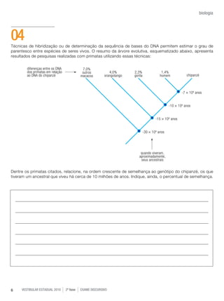 vestibular estadual 2010 2ª fase Exame dISCURSIVO6
biologia
Técnicas de hibridização ou de determinação da sequência de bases do DNA permitem estimar o grau de
parentesco entre espécies de seres vivos. O resumo da árvore evolutiva, esquematizado abaixo, apresenta
resultados de pesquisas realizadas com primatas utilizando essas técnicas:
Dentre os primatas citados, relacione, na ordem crescente de semelhança ao genótipo do chipanzé, os que
tiveram um ancestral que viveu há cerca de 10 milhões de anos. Indique, ainda, o percentual de semelhança.
04
 