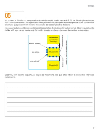 7
biologia
No homem, a filtração do sangue pelos glomérulos renais produz cerca de 7,2 L de filtrado glomerular por
hora. Esse volume sofre uma significativa redução durante a passagem do filtrado pelos túbulos contornados
proximais, que possuem um eficiente mecanismo de reabsorção ativa de sódio.
No esquema abaixo, estão representadas células epiteliais do túbulo contornado proximal. Observe que a bomba
de Na+
e K+
e os canais passivos de Na+
estão situados em faces diferentes da membrana plasmática.
Descreva, com base no esquema, as etapas do mecanismo pelo qual o Na+
filtrado é absorvido e retorna ao
meio interno.
05
 