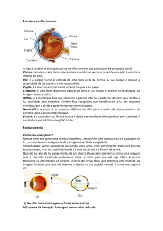 Estrutura do olho humano
A figura contém as principais partes do olho humano que participam da percepção visual.
Córnea: refrata os raios de luz que entram nos olhos e exerce o papel de proteção à estrutura
interna do olho.
Íris: é a porção visível e colorida do olho logo atrás da córnea. A sua função é regular a
quantidade de luz que entra nos nossos olhos.
Pupila: é a abertura central da íris, através da qual a luz passa.
Cristalino: é uma lente biconvexa natural do olho e sua função é auxiliar na focalização da
imagem sobre a retina.
Retina: é a membrana fina que preenche a parede interna e posterior do olho, que recebe a
luz focalizada pelo cristalino. Contém foto receptores que transformam a luz em impulsos
elétricos, que o cérebro pode interpretar como imagens.
Nervo ótico: transporta os impulsos elétricos do olho para o centro de processamento do
cérebro, para a devida interpretação.
Esclera: é a capa externa, fibrosa branca e rígida que envolve o olho, contínua com a córnea. É
a estrutura que dá forma ao globo ocular.
Funcionamento
Como nós enxergamos?
Nossos olhos são como uma câmara fotográfica. Ambos têm uma abertura para a passagem de
luz, uma lente e um anteparo onde a imagem é recebida e registrada.
Simplificando, vamos considerar possuindo uma única lente convergente biconvexa (meios
transparentes, mais o cristalino) situada a 5 mm da córnea e a 15 mm da retina.
Quando os raios de luz provenientes de um objeto atravessam essa lente, forma uma imagem
real e invertida localizada exatamente sobre a retina para que ela seja nítida. A retina
transmite as informações ao cérebro, através do nervo ótico, que processa uma inversão da
imagem fazendo com que nós vejamos o objeto na sua posição normal. É assim que a gente
vê.
a) No olho normal a imagem se forma sobre a retina
b)Esquema da formação da imagem em um olho reduzido
 