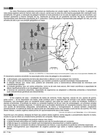 Questão 33

        Os ratos Peromyscus polionotus encontram-se distribuídos em ampla região na América do Norte. A pelagem de
ratos dessa espécie varia do marrom claro até o escuro, sendo que os ratos de uma mesma população têm coloração muito
semelhante. Em geral, a coloração da pelagem também é muito parecida à cor do solo da região em que se encontram, que
também apresenta a mesma variação de cor, distribuída ao longo de um gradiente sul-norte. Na figura, encontram-se
representadas sete diferentes populações de P. polionotus. Cada população é representada pela pelagem do rato, por uma
amostra de solo e por sua posição geográfica no mapa.




                                  MULLEN, L. M.; HOEKSTRA, H. E. Natural selection along an environmental gradient: a classic cline in mouse pigmentation. Evolution, 2008.

O mecanismo evolutivo envolvido na associação entre cores de pelagem e de substrato é
A    a alimentação, pois pigmentos de terra são absorvidos e alteram a cor da pelagem dos roedores.
B    o fluxo gênico entre as diferentes populações, que mantém constante a grande diversidade interpopulacional.
C    a seleção natural, que, nesse caso, poderia ser entendida como a sobrevivência diferenciada de indivíduos com
     características distintas.
D    a mutação genética, que, em certos ambientes, como os de solo mais escuro, têm maior ocorrência e capacidade de
     alterar significativamente a cor da pelagem dos animais.
E    a herança de caracteres adquiridos, capacidade de organismos se adaptarem a diferentes ambientes e transmitirem
     suas características genéticas aos descendentes.
 Questão 34

        O lixo orgânico de casa – constituído de restos de verduras, frutas, legumes, cascas de ovo, aparas de grama,
entre outros –, se for depositado nos lixões, pode contribuir para o aparecimento de animais e de odores indesejáveis.
Entretanto, sua reciclagem gera um excelente adubo orgânico, que pode ser usado no cultivo de hortaliças, frutíferas e
plantas ornamentais. A produção do adubo ou composto orgânico se dá por meio da compostagem, um processo simples
que requer alguns cuidados especiais. O material que é acumulado diariamente em recipientes próprios deve ser revirado
com auxílio de ferramentas adequadas, semanalmente, de forma a homogeneizá-lo. É preciso também umedecê-lo
periodicamente. O material de restos de capina pode ser intercalado entre uma camada e outra de lixo da cozinha. Por meio
desse método, o adubo orgânico estará pronto em aproximadamente dois a três meses.
                                                                                              Como usar o lixo orgânico em casa? Ciência Hoje, v. 42, jun. 2008 (adaptado).

Suponha que uma pessoa, desejosa de fazer seu próprio adubo orgânico, tenha seguido o procedimento descrito no texto,
exceto no que se refere ao umedecimento periódico do composto. Nessa situação,
A    o processo de compostagem iria produzir intenso mau cheiro.
B    o adubo formado seria pobre em matéria orgânica que não foi transformada em composto.
C    a falta de água no composto vai impedir que microrganismos decomponham a matéria orgânica.
D    a falta de água no composto iria elevar a temperatura da mistura, o que resultaria na perda de nutrientes essenciais.
E    apenas microrganismos que independem de oxigênio poderiam agir sobre a matéria orgânica e transformá-la em
     adubo.

CN – 1º dia                                       CADERNO 2 – AMARELO – PÁGINA 12                                                                         ENEM 2009
 