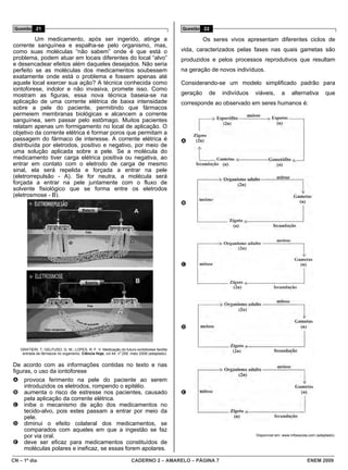Questão 21                                                                                Questão 22

         Um medicamento, após ser ingerido, atinge a                                                 Os seres vivos apresentam diferentes ciclos de
corrente sanguínea e espalha-se pelo organismo, mas,
como suas moléculas “não sabem” onde é que está o                                          vida, caracterizados pelas fases nas quais gametas são
problema, podem atuar em locais diferentes do local “alvo”                                 produzidos e pelos processos reprodutivos que resultam
e desencadear efeitos além daqueles desejados. Não seria
perfeito se as moléculas dos medicamentos soubessem                                        na geração de novos indivíduos.
exatamente onde está o problema e fossem apenas até
aquele local exercer sua ação? A técnica conhecida como                                    Considerando-se um modelo simplificado padrão para
iontoforese, indolor e não invasiva, promete isso. Como
mostram as figuras, essa nova técnica baseia-se na                                         geração     de   indivíduos   viáveis,      a     alternativa        que
aplicação de uma corrente elétrica de baixa intensidade                                    corresponde ao observado em seres humanos é:
sobre a pele do paciente, permitindo que fármacos
permeiem membranas biológicas e alcancem a corrente
sanguínea, sem passar pelo estômago. Muitos pacientes
relatam apenas um formigamento no local de aplicação. O
objetivo da corrente elétrica é formar poros que permitam a
passagem do fármaco de interesse. A corrente elétrica é                                    A
distribuída por eletrodos, positivo e negativo, por meio de
uma solução aplicada sobre a pele. Se a molécula do
medicamento tiver carga elétrica positiva ou negativa, ao
entrar em contato com o eletrodo de carga de mesmo
sinal, ela será repelida e forçada a entrar na pele
(eletrorrepulsão - A). Se for neutra, a molécula será
forçada a entrar na pele juntamente com o fluxo de
solvente fisiológico que se forma entre os eletrodos
(eletrosmose - B).
                                                                                           B




                                                                                           C




                                                                                           D


   GRATIERI, T; GELFUSO, G. M.; LOPES, R. F. V. Medicação do futuro-iontoforese facilita
                                                             o
    entrada de fármacos no organismo. Ciência Hoje, vol 44, n 259, maio 2009 (adaptado).


De acordo com as informações contidas no texto e nas
figuras, o uso da iontoforese
A provoca ferimento na pele do paciente ao serem
     introduzidos os eletrodos, rompendo o epitélio.
B aumenta o risco de estresse nos pacientes, causado                                       E
     pela aplicação da corrente elétrica.
C inibe o mecanismo de ação dos medicamentos no
     tecido-alvo, pois estes passam a entrar por meio da
     pele.
D diminui o efeito colateral dos medicamentos, se
     comparados com aqueles em que a ingestão se faz
     por via oral.                                                                                                       Disponível em: www.infoescola.com (adaptado).

E deve ser eficaz para medicamentos constituídos de
     moléculas polares e ineficaz, se essas forem apolares.

CN – 1º dia                                                        CADERNO 2 – AMARELO – PÁGINA 7                                                     ENEM 2009
 