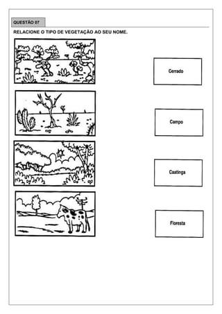 QUESTÃO 07
RELACIONE O TIPO DE VEGETAÇÃO AO SEU NOME.
 
