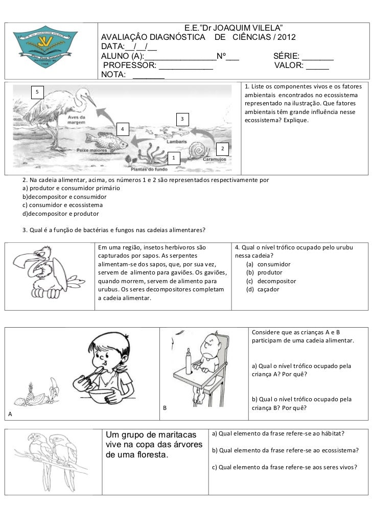 Prova ciencias ecossistemas
