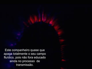 Este companheiro quase que apaga totalmente o seu campo fluídico, pois não fora educado ainda no processo  de transmissão. 
