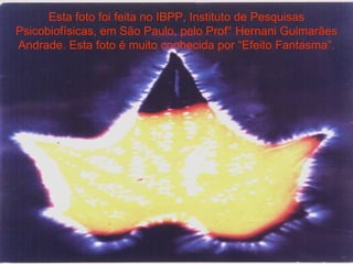 Esta foto foi feita no IBPP, Instituto de Pesquisas Psicobiofísicas, em São Paulo, pelo Prof° Hernani Guimarães Andrade. Esta foto é muito conhecida por “Efeito Fantasma”. 