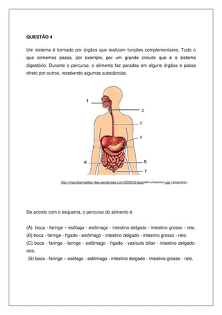 QUESTÃO 4
Um sistema é formado por órgãos que realizam funções complementares. Tudo o
que comemos passa, por exemplo, por um grande circuito que é o sistema
digestório. Durante o percurso, o alimento faz paradas em alguns órgãos e passa
direto por outros, recebendo algumas substâncias.
http://marciliarinaldes.files.wordpress.com/2009/02/aparelho-digestivo.jpg (adaptado)
De acordo com o esquema, o percurso do alimento é:
(A) boca - faringe – esôfago - estômago - intestino delgado - intestino grosso - reto.
(B) boca - faringe - fígado - estômago - intestino delgado - intestino grosso - reto.
(C) boca - faringe - laringe - estômago - fígado - vesícula biliar - intestino delgado-
reto.
(D) boca - faringe – esôfago - estômago - intestino delgado - intestino grosso - reto.
 