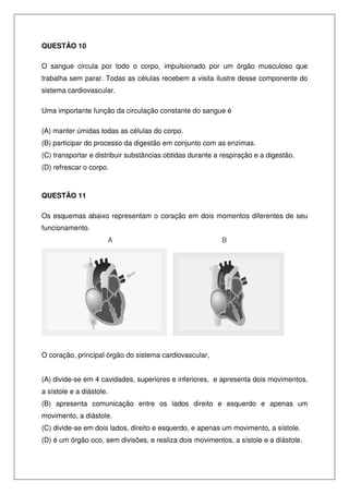 QUESTÃO 10
O sangue circula por todo o corpo, impulsionado por um órgão musculoso que
trabalha sem parar. Todas as células recebem a visita ilustre desse componente do
sistema cardiovascular.
Uma importante função da circulação constante do sangue é
(A) manter úmidas todas as células do corpo.
(B) participar do processo da digestão em conjunto com as enzimas.
(C) transportar e distribuir substâncias obtidas durante a respiração e a digestão.
(D) refrescar o corpo.
QUESTÃO 11
Os esquemas abaixo representam o coração em dois momentos diferentes de seu
funcionamento.
A B
O coração, principal órgão do sistema cardiovascular,
(A) divide-se em 4 cavidades, superiores e inferiores, e apresenta dois movimentos,
a sístole e a diástole.
(B) apresenta comunicação entre os lados direito e esquerdo e apenas um
movimento, a diástole.
(C) divide-se em dois lados, direito e esquerdo, e apenas um movimento, a sístole.
(D) é um órgão oco, sem divisões, e realiza dois movimentos, a sístole e a diástole.
 