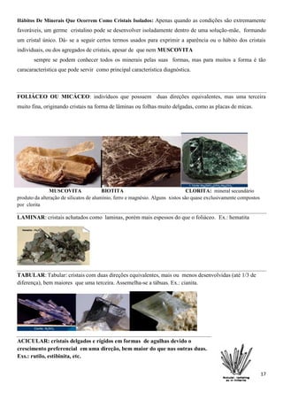 17
Hábitos De Minerais Que Ocorrem Como Cristais Isolados: Apenas quando as condições são extremamente
favoráveis, um germe cristalino pode se desenvolver isoladamente dentro de uma solução-mãe, formando
um cristal único. Dá- se a seguir certos termos usados para exprimir a aparência ou o hábito dos cristais
individuais, ou dos agregados de cristais, apesar de que nem MUSCOVITA
sempre se podem conhecer todos os minerais pelas suas formas, mas para muitos a forma é tão
caracaracterística que pode servir como principal característica diagnóstica.
FOLIÁCEO OU MICÁCEO: indivíduos que possuem duas direções equivalentes, mas uma terceira
muito fina, originando cristais na forma de lâminas ou folhas muito delgadas, como as placas de micas.
MUSCOVITA BIOTITA CLORITA: mineral secundário
produto da alteração de silicatos de alumínio, ferro e magnésio. Alguns xistos são quase exclusivamente compostos
por clorita
LAMINAR: cristais achatados como laminas, porém mais espessos do que o foliáceo. Ex.: hematita
TABULAR: Tabular: cristais com duas direções equivalentes, mais ou menos desenvolvidas (até 1/3 de
diferença), bem maiores que uma terceira. Assemelha-se a tábuas. Ex.: cianita.
ACICULAR: cristais delgados e rígidos em formas de agulhas devido o
crescimento preferencial em uma direção, bem maior do que nas outras duas.
Exs.: rutilo, estibinita, etc.
 