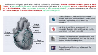 Síndrome coronariana aguda, abordagem atual | PPTX