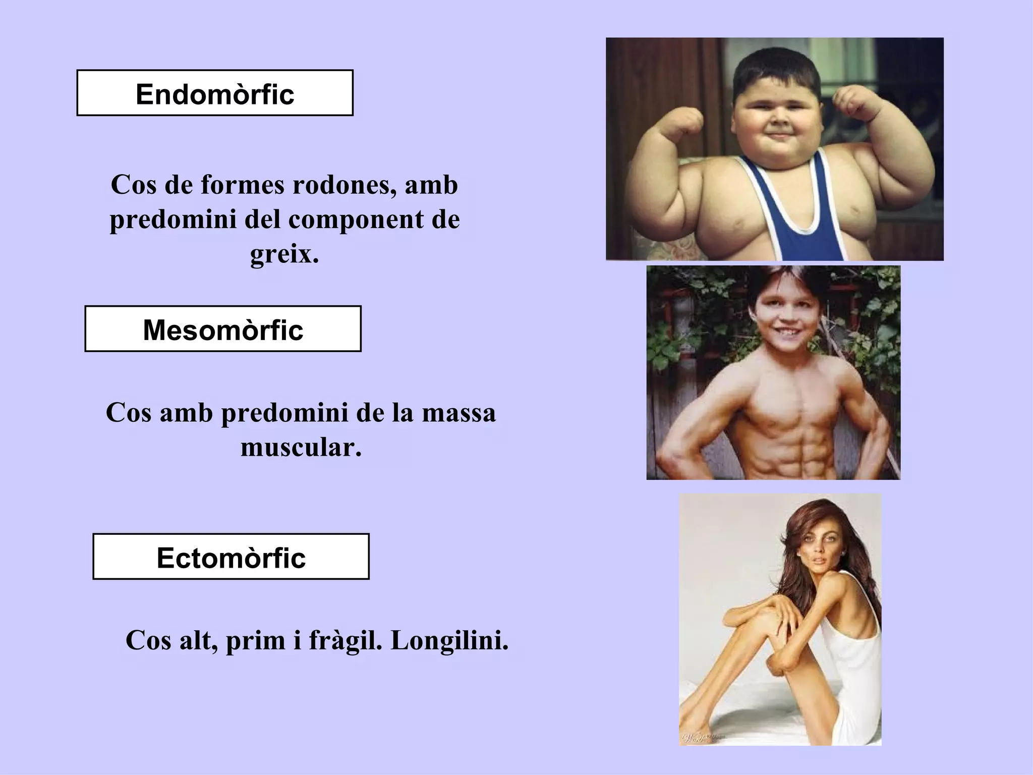 Endomòrfic


Cos de formes rodones, amb
predomini del component de
           greix.

  Mesomòrfic

Cos amb predomini de la massa
         muscular.


   Ectomòrfic

 Cos alt, prim i fràgil. Longilini.
 