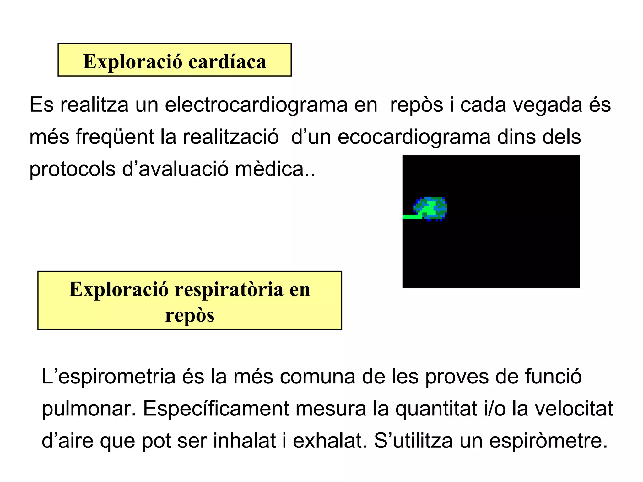Exploració cardíaca

Es realitza un electrocardiograma en repòs i cada vegada és
més freqüent la realització d’un ecocardiograma dins dels
protocols d’avaluació mèdica..




    Exploració respiratòria en
              repòs

 L’espirometria és la més comuna de les proves de funció
 pulmonar. Específicament mesura la quantitat i/o la velocitat
 d’aire que pot ser inhalat i exhalat. S’utilitza un espiròmetre.
 