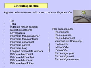 Cineantropometria

Algunes de les mesures realitzades o dades obtingudes són:


·   Pes
·   Talla
·   Índex de massa corporal
·   Superfície corporal                Plec subescapular
·   Envergadura                      ·   Plec tricipital
·   Perímetre toràcic superior       ·   Plec supraíliac
·   Perímetre toràcic inferior       ·   Plec subadominal
·   Perímetre abdominal              ·   Valoració del Somatotip:
·   Perímetre panxell                §    Endomòrfic
·   Perímetre braç                   §    Mesomòrfic
·   Longitud extremitats inferiors   §    Ectomòrfic
·   Diàmetre biacromial              ·   Percentage gras
·   Diàmetre bitrocanteri            ·   Percentatge ossi
·   Diàmetre bihumeral               ·   Percentatge muscular
·   Diàmetre biestiloideo
·
 