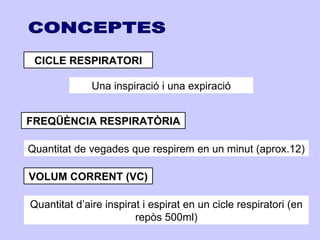 CICLE RESPIRATORI

              Una inspiració i una expiració


FREQÜÈNCIA RESPIRATÒRIA

Quantitat de vegades que respirem en un minut (aprox.12)

VOLUM CORRENT (VC)

Quantitat d’aire inspirat i espirat en un cicle respiratori (en
                        repòs 500ml)
 