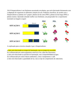 26) O fotoperiodismo é um fenômeno encontrado em plantas, que está relacionado diretamente com
a adaptação do organismo às diferentes estações do ano. Podemos classificar, de acordo com o
fotoperiodismo as plantas em 3 grupos: plantas de dia curto (PDC), plantas de dia longo (PDL) e
plantas neutras. Querendo entender melhor esse fenômeno, um pesquisador fez o experimento
mostrado na imagem a seguir:
A explicação para a terceira situação é que o fotoperiodismo:
a) não está relacionado ao tempo de iluminação, mas ao tempo de escuridão.
b) é influenciado por outros pigmentos sensíveis à luz, além dos fitocromos.
c) não está relacionado ao período de iluminação, mas à disponibilidade de água.
d) é influenciado por outros fatores ambientais, como a temperatura e o pH.
e) não está relacionado a quantidade de luz, mas ao tipo de comprimento de onda desta.
 