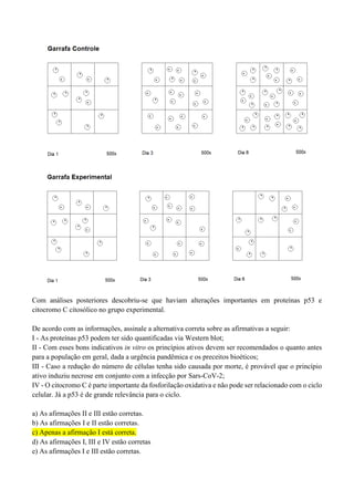 Com análises posteriores descobriu-se que haviam alterações importantes em proteínas p53 e
citocromo C citosólico no grupo experimental.
De acordo com as informações, assinale a alternativa correta sobre as afirmativas a seguir:
I - As proteínas p53 podem ter sido quantificadas via Western blot;
II - Com esses bons indicativos in vitro os princípios ativos devem ser recomendados o quanto antes
para a população em geral, dada a urgência pandêmica e os preceitos bioéticos;
III - Caso a redução do número de células tenha sido causada por morte, é provável que o princípio
ativo induziu necrose em conjunto com a infecção por Sars-CoV-2;
IV - O citocromo C é parte importante da fosforilação oxidativa e não pode ser relacionado com o ciclo
celular. Já a p53 é de grande relevância para o ciclo.
a) As afirmações II e III estão corretas.
b) As afirmações I e II estão corretas.
c) Apenas a afirmação I está correta.
d) As afirmações I, III e IV estão corretas
e) As afirmações I e III estão corretas.
 