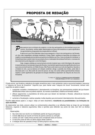 O texto acima, que focaliza a relevância da região amazônica para o meio ambiente e para a economia brasileira, menciona
a “máquina de chuva da Amazônia”. Suponha que, para manter essa “máquina de chuva” funcionando, tenham sido
sugeridas as ações a seguir:
      1 suspender completa e imediatamente o desmatamento na Amazônia, que permaneceria proibido até que fossem
        identificadas áreas onde se poderia explorar, de maneira sustentável, madeira de florestas nativas;
      2 efetuar pagamentos a proprietários de terras para que deixem de desmatar a floresta, utilizando-se recursos
        financeiros internacionais;
      3 aumentar a fiscalização e aplicar pesadas multas àqueles que promoverem desmatamentos não-autorizados.
Escolha uma dessas ações e, a seguir, redija um texto dissertativo, ressaltando as possibilidades e as limitações da
ação escolhida.
Ao desenvolver seu texto, procure utilizar os conhecimentos adquiridos e as reflexões feitas ao longo de sua formação.
Selecione, organize e relacione argumentos, fatos e opiniões para defender seu ponto de vista, sem ferir os direitos
humanos.
      Observações:
         Seu texto deve ser escrito na modalidade padrão da língua portuguesa.
         O texto não deve ser escrito em forma de poema (versos) ou narração.
         O texto com até 7 (sete) linhas escritas será considerado texto em branco.
         O rascunho pode ser feito na última página deste Caderno.
         A redação deve ser passada a limpo na folha própria e escrita a tinta.

ENEM 2008                                      PROVA 1 — AMARELA — PÁGINA 1                                ENEM 2008
 