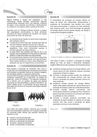 2010
Questão 64          Questão 66




                                                               o
                                     Química Nova Na Escola.




Questão 65




                    Rascunho


intestino é a de




                                 Caderno 3 - BRANCO - Página 18
 