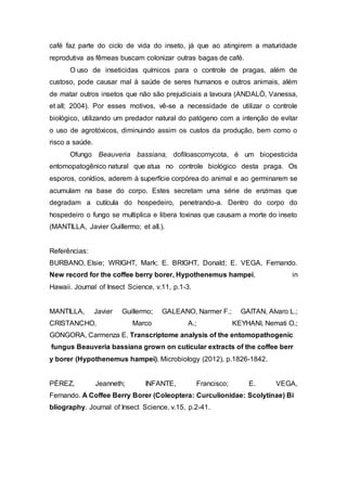 café faz parte do ciclo de vida do inseto, já que ao atingirem a maturidade
reprodutiva as fêmeas buscam colonizar outras bagas de café.
O uso de inseticidas químicos para o controle de pragas, além de
custoso, pode causar mal à saúde de seres humanos e outros animais, além
de matar outros insetos que não são prejudiciais a lavoura (ANDALÓ, Vanessa,
et all; 2004). Por esses motivos, vê-se a necessidade de utilizar o controle
biológico, utilizando um predador natural do patógeno com a intenção de evitar
o uso de agrotóxicos, diminuindo assim os custos da produção, bem como o
risco a saúde.
Ofungo Beauveria bassiana, dofiloascomycota, é um biopesticida
entomopatogênico natural que atua no controle biológico desta praga. Os
esporos, conídios, aderem à superfície corpórea do animal e ao germinarem se
acumulam na base do corpo. Estes secretam uma série de enzimas que
degradam a cutícula do hospedeiro, penetrando-a. Dentro do corpo do
hospedeiro o fungo se multiplica e libera toxinas que causam a morte do inseto
(MANTILLA, Javier Guillermo; et all.).
Referências:
BURBANO, Elsie; WRIGHT, Mark; E. BRIGHT, Donald; E. VEGA, Fernando.
New record for the coffee berry borer, Hypothenemus hampei, in
Hawaii. Journal of Insect Science, v.11, p.1-3.
MANTILLA, Javier Guillermo; GALEANO, Narmer F.; GAITAN, Alvaro L.;
CRISTANCHO, Marco A.; KEYHANI, Nemati O.;
GONGORA, Carmenza E. Transcriptome analysis of the entomopathogenic
fungus Beauveria bassiana grown on cuticular extracts of the coffee berr
y borer (Hypothenemus hampei). Microbiology (2012), p.1826-1842.
PÉREZ, Jeanneth; INFANTE, Francisco; E. VEGA,
Fernando. A Coffee Berry Borer (Coleoptera: Curculionidae: Scolytinae) Bi
bliography. Journal of Insect Science, v.15, p.2-41.
 