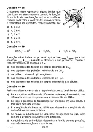 Questão nº 28
O esquema dado representa alguns órgãos que
constituem o sistema nervoso central. As funções
de controle de coordenação motora e equilíbrio,
controle da tireóide e controle dos ritmos cardíaco
e respiratório são exercidas, respectivamente, por
a) 5, 1 e 2.
b) 4, 2 e 4.
c)      3, 1 e 2.
d) 5, 2 e 3.
e) 5, 3 e 4.

Questão nº 29
           –    +
      HCO 3 + H                    H 2 CO 3           H 2 O + CO 2

A reação acima indica um processo que ocorre ___ 1 ___ , para que
aconteça ___ 2 ___. Assinale a alternativa que preenche, correta e
respectivamente, os espaços 1 e 2.
a) nos capilares dos tecidos do corpo; absorção de CO2 .
b) nos capilares dos pulmões; eliminação de CO2 .
c)      no bulbo; controle do pH sangüíneo.
d) nos capilares dos pulmões; eliminação de H2 O.
e) nos capilares dos tecidos do corpo; oxigenação das células.

Questão nº 30
Assinale a alternativa correta a respeito do processo de síntese protéica.
a) Para sintetizar moléculas de diferentes proteínas, é necessário que
   diferentes ribossomos percorram a mesma fita de RNAm.
b) Se todo o processo de transcrição for impedido em uma célula, a
   tradução não será afetada.
c)      É a seqüência de bases no RNAt que determina a seqüência de
        aminoácidos em uma proteína.
d) Se houver a substituição de uma base nitrogenada no DNA, nem
   sempre a proteína resultante será diferente.
e) A seqüência de aminoácidos determina a função de uma proteína,
   mas não tem relação com sua forma.
Prova Tipo A                      pág. 13                            Grupo I
 