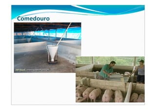 Comedouro
 