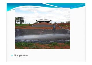 Biodigestores
 