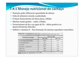 7.4.1 Manejo nutricional do cachaço
Nutrição pode influenciar quantidade de sêmen;
Falta de alimento retarda a puberdade;
O baixo fornecimento de lisina piora a libido;
Machos muito gordos – reduz a libido;
Fornecimento de 80 a 150 ppm de Zn – efeito positivo no 
desenvolvimento folicular;
Selênio e vitamina E – boa formação do sistema reprodutor masculino;
 