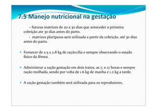 – futuras matrizes de 20 a 30 dias que anteceder a primeira 
cobrição ate 30 dias antes do parto. 
‐ matrizes pluríparas será utilizada a partir da cobrição, até 30 dias 
antes do parto.
Fornecer de 2.5 a 2.8 kg de ração/dia e sempre observando o estado 
físico da fêmea. 
Administrar a ração gestação em dois tratos, as 7, e 17 horas e sempre 
ração molhada, sendo por volta de 1.6 kg de manha e 1.2 kg a tarde.
A ração gestação também será utilizada para os reprodutores. 
7.5 Manejo nutricional na gestação
 