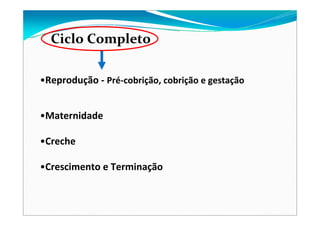 Ciclo Completo
•Reprodução ‐ Pré‐cobrição, cobrição e gestação
•Maternidade
•Creche
•Crescimento e Terminação
 