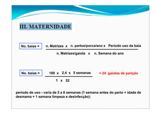 No. baias = n. Matrizes x n. partos/porca/ano x Período uso da baia
n. Matrizes/gaiola x n. Semana do ano
No. baias = 100 x 2,4 x 5 semanas
1 x 52
= 24 gaiolas de parição
período de uso - varia de 5 a 6 semanas (1 semana antes do parto + idade de
desmama + 1 semana limpeza e desinfecção);
 