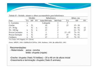 Recomendações:
- Maternidade: porca - concha
leitão: chupeta (nipple)
-Creche: chupeta (1beb./10 leitões) – 20 a 46 cm de altura inicial
-Crescimento e terminação: chupeta (1beb./5 animais)
 
