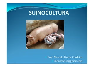 SUINOCULTURA
Prof. Marcelo Bastos Cordeiro
mbcordeiro@gmail.com
 