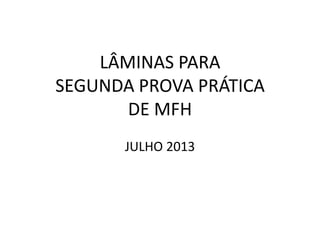 LÂMINAS PARA
SEGUNDA PROVA PRÁTICA
DE MFH
JULHO 2013
 