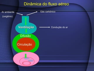 Dinâmica do fluxo aéreo
VentilaçãoVentilação
Difusão
CirculaciónCirculação
Ar ambiente
(oxigênio)
Condução do ar
Gás carbônico
 