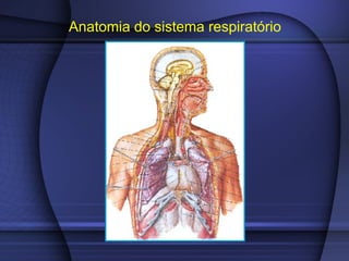 Anatomia do sistema respiratório
 