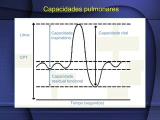 Capacidades pulmonares
CPT
Litros
Tempo (segundos)
Capacidade vital
Capacidade
residual funcional
Capacidade
inspiratória
 