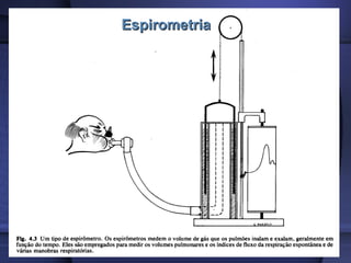 EspirometriaEspirometria
 