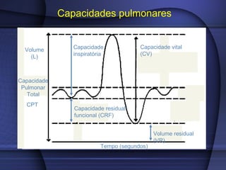 Capacidades pulmonares
Volume
(L)
Tempo (segundos)
Capacidade vital
(CV)
Capacidade residual
funcional (CRF)
Capacidade
inspiratória
Volume residual
(VR)
Capacidade
Pulmonar
Total
CPT
 