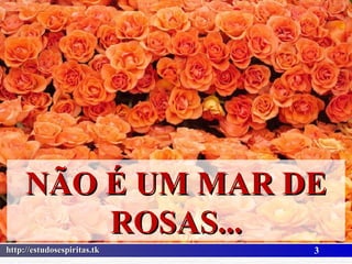 NÃO É UM MAR DE ROSAS... 