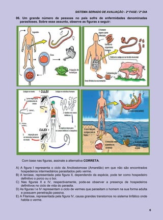 SISTEMA SERIADO DE AVALIAÇÃO - 2ª FASE / 2º DIA

06. Um grande número de pessoas no país sofre de enfermidades denominadas
   parasitoses. Sobre esse assunto, observe as figuras a seguir:

    I                                                  II




  III
                                                  IV




        Com base nas figuras, assinale a alternativa CORRETA.

A) A figura I representa o ciclo da Ancilostomose (Amarelão) em que não são encontrados
    hospedeiros intermediários parasitados pelo verme.
B) A teníase, representada pela figura II, dependendo da espécie, pode ter como hospedeiro
    definitivo o porco ou o boi.
C) Nas figuras II e IV, respectivamente, pode-se observar a presença de hospedeiros
    definitivos no ciclo de vida do parasita.
D) As figuras I e IV representam o ciclo de vermes que parasitam o homem na sua forma adulta
    e possuem penetração passiva.
E) A Filariose, representada pela figura IV, causa grandes transtornos no sistema linfático onde
    habita o verme.


                                                                                                   6
 
