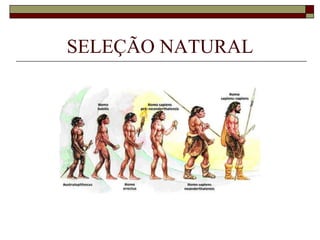 SELEÇÃO NATURAL 